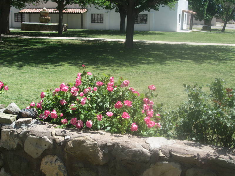IMG_2014.JPG