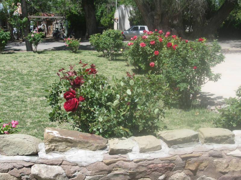 IMG_2015.JPG