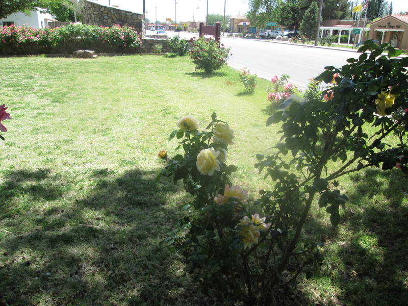 IMG_2021.JPG
