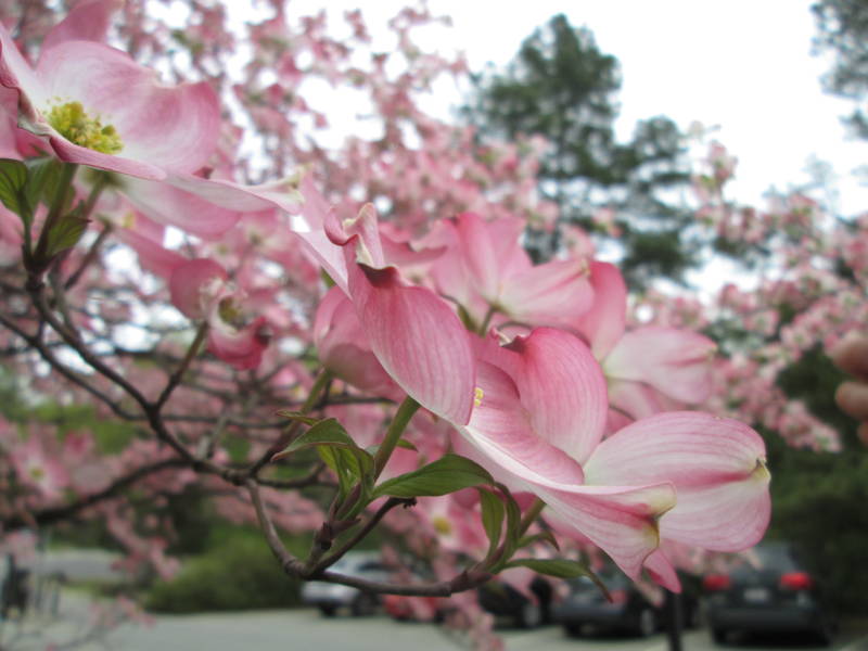 IMG_1565.JPG