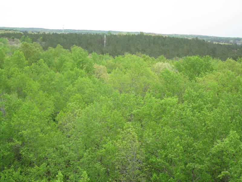IMG_1611.JPG
