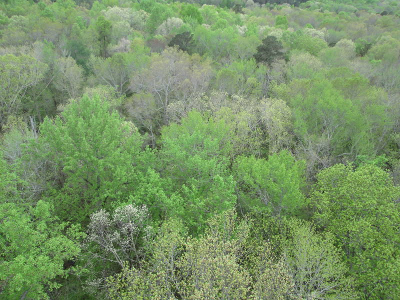 IMG_1617.JPG