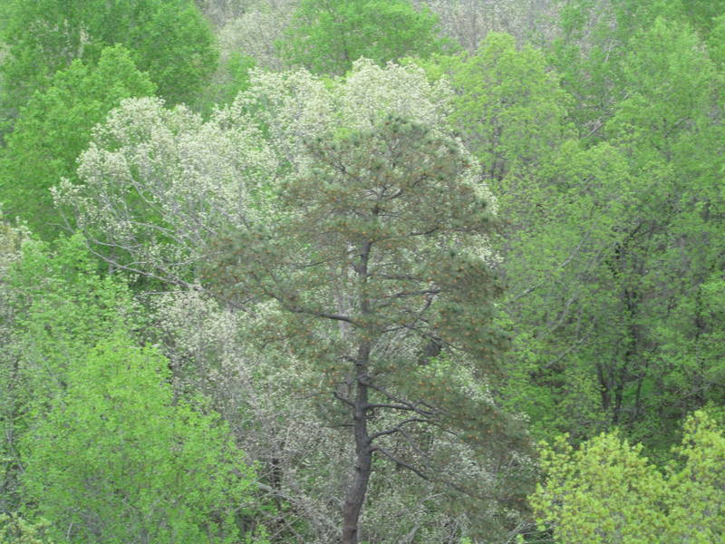 IMG_1619.JPG