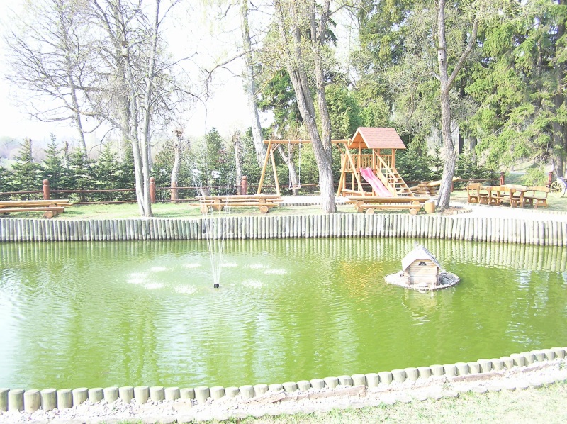 50006.jpg