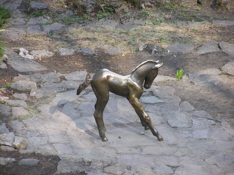 50037.jpg