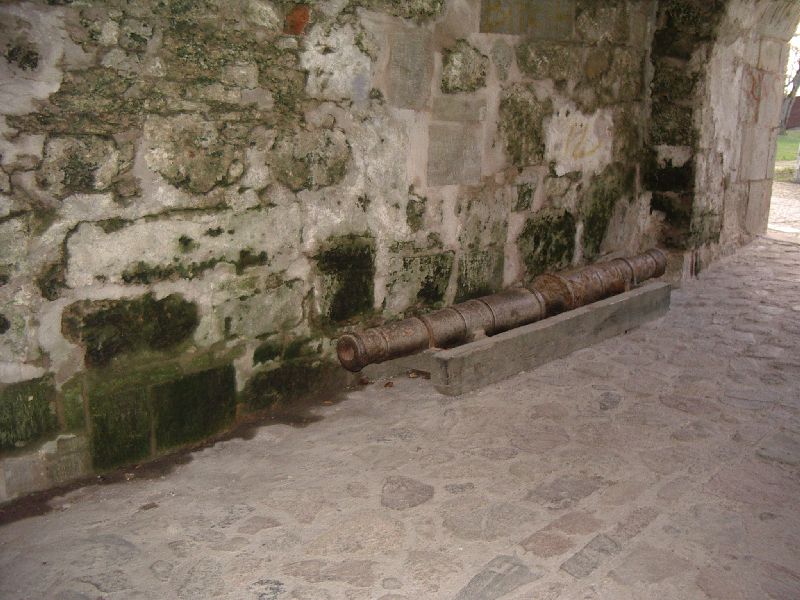 419.jpg
