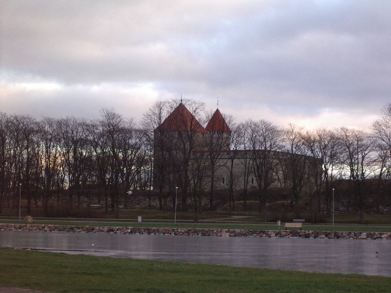 441.jpg