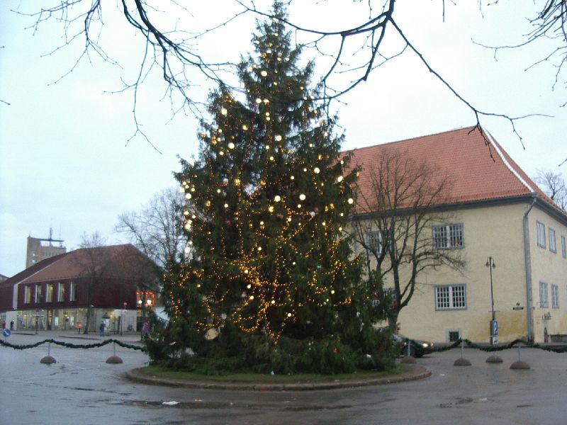 455.jpg