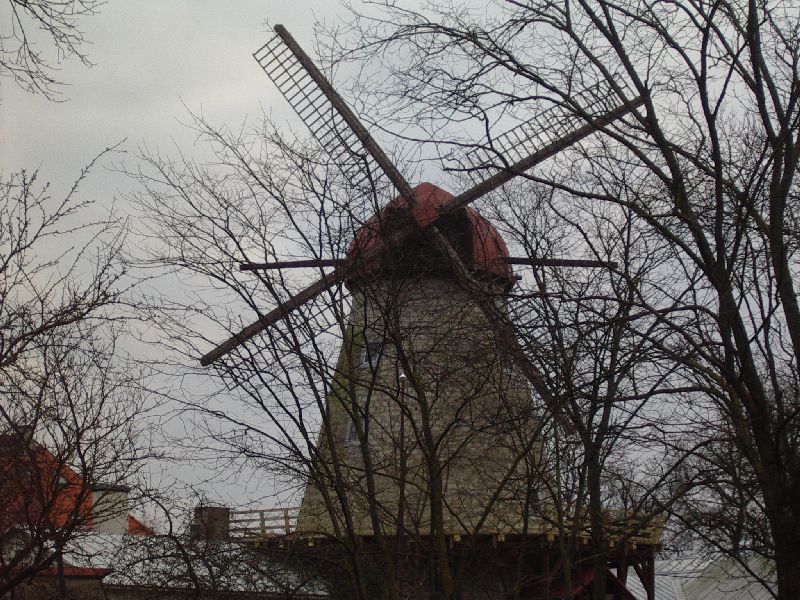 464.jpg