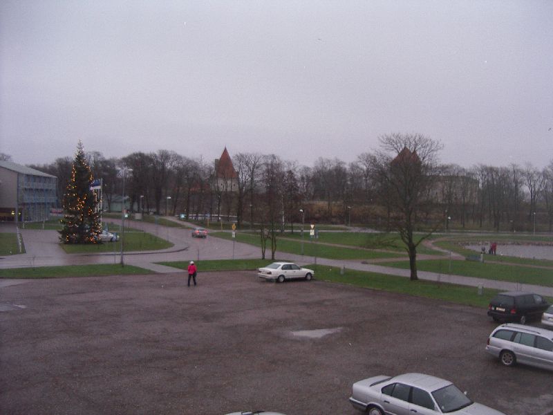 480.jpg