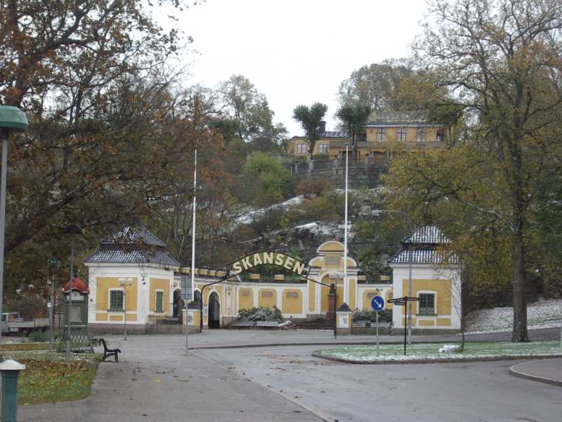 55.jpg