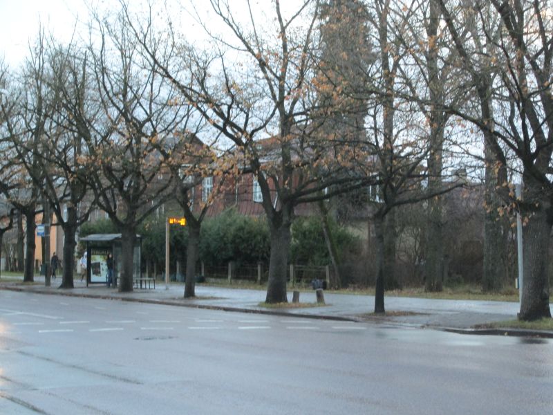 118.jpg