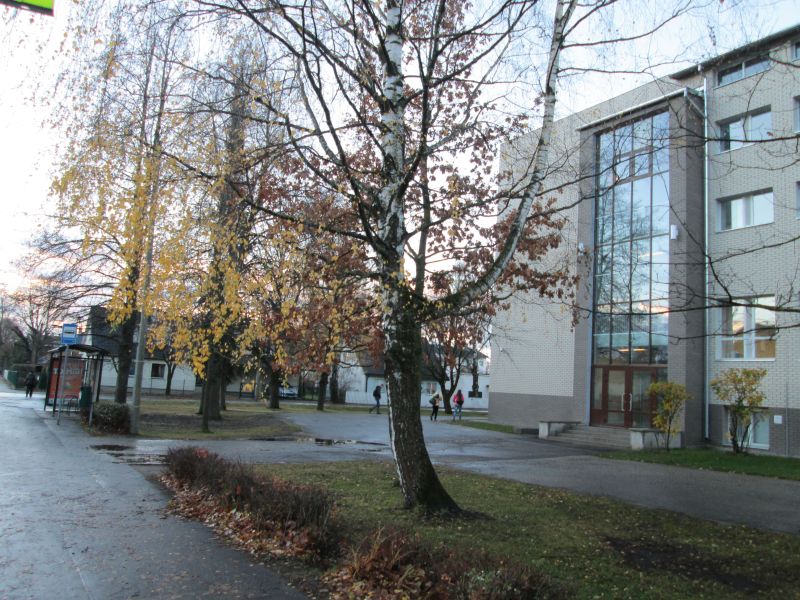 129.jpg