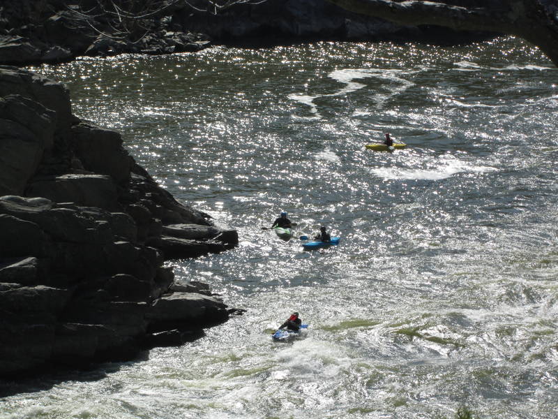 IMG_1250.JPG