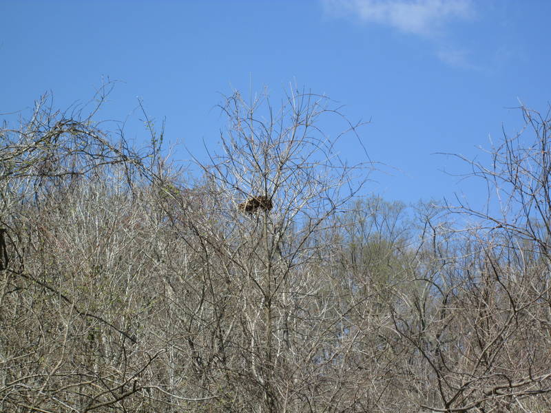 IMG_1260.JPG
