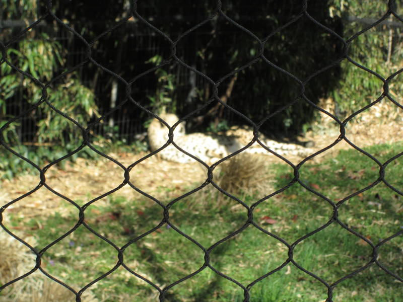 IMG_1272.JPG