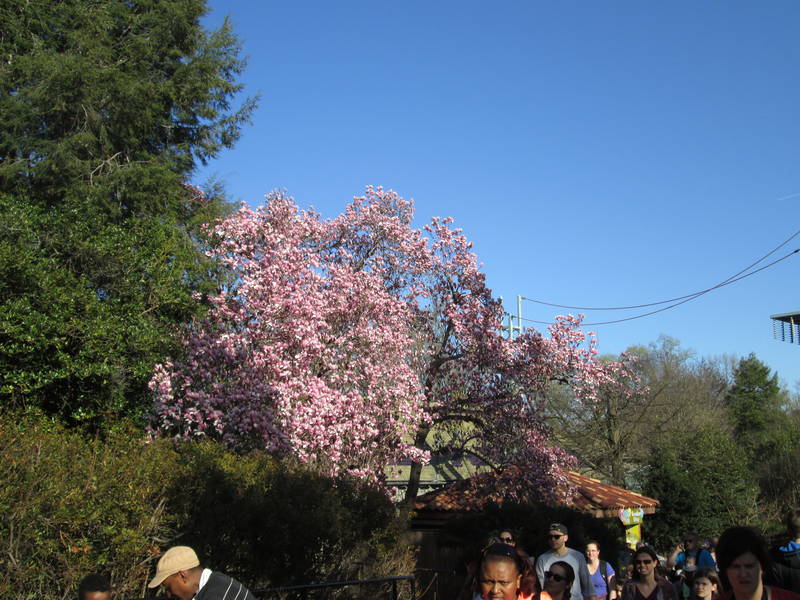 IMG_1292.JPG
