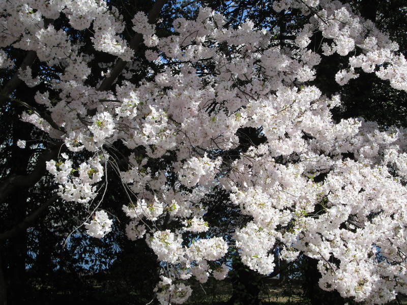 IMG_1359.JPG