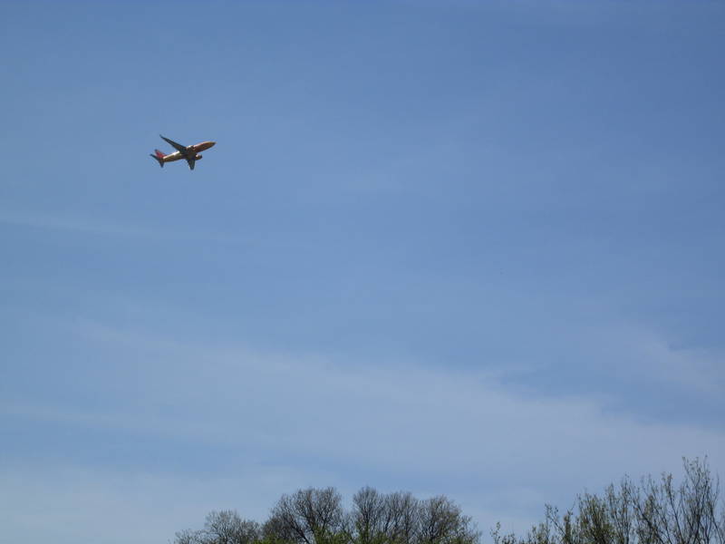 IMG_1383.JPG