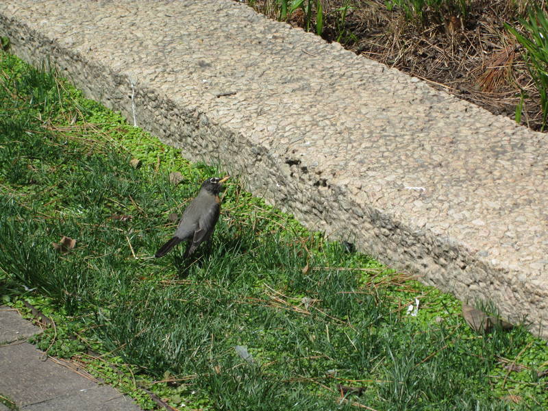 IMG_1413.JPG