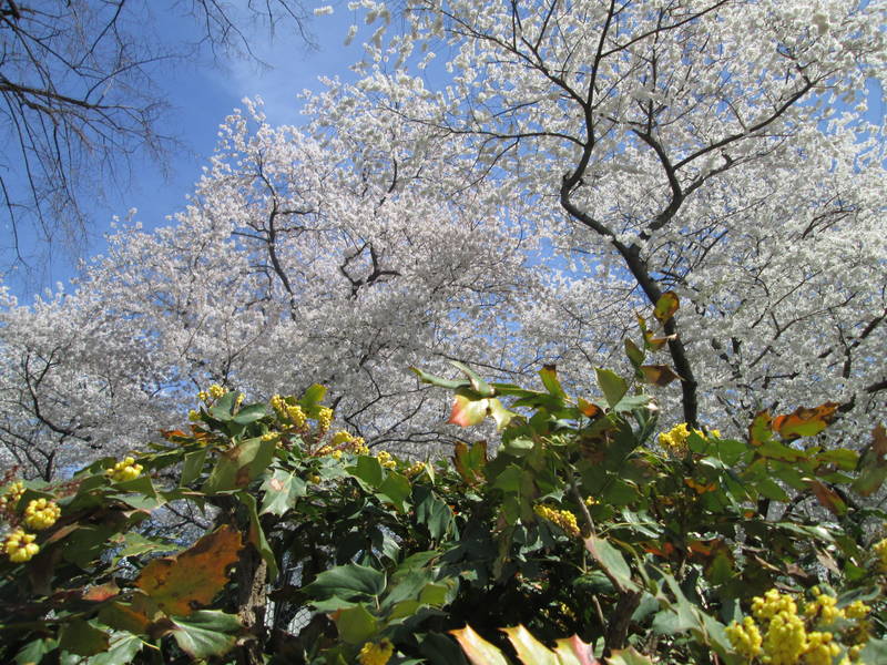 IMG_1436.JPG
