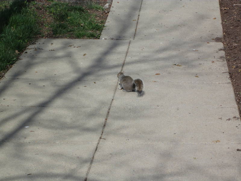 IMG_1458.JPG