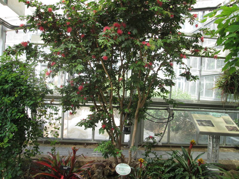 IMG_1503.JPG