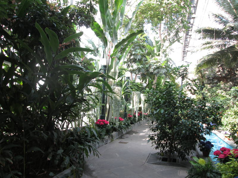 IMG_1512.JPG