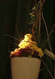 detail lilledega